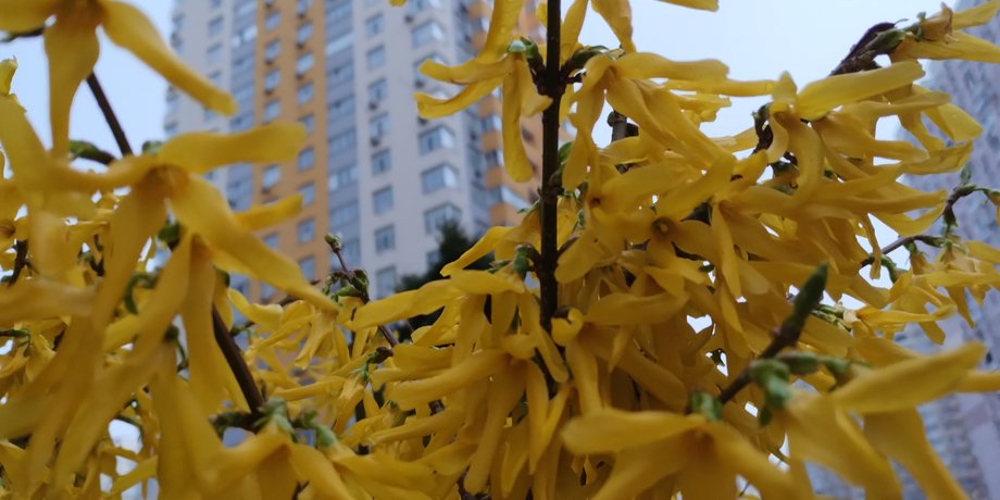 недвижимость, киев, налог на недвижимость, налог на недвижимость украина 2023, какая ставка налога на недвижимость, как узнать сумму уплаты налога на недвижимость, когда нужно уплатить налог на недвижимость