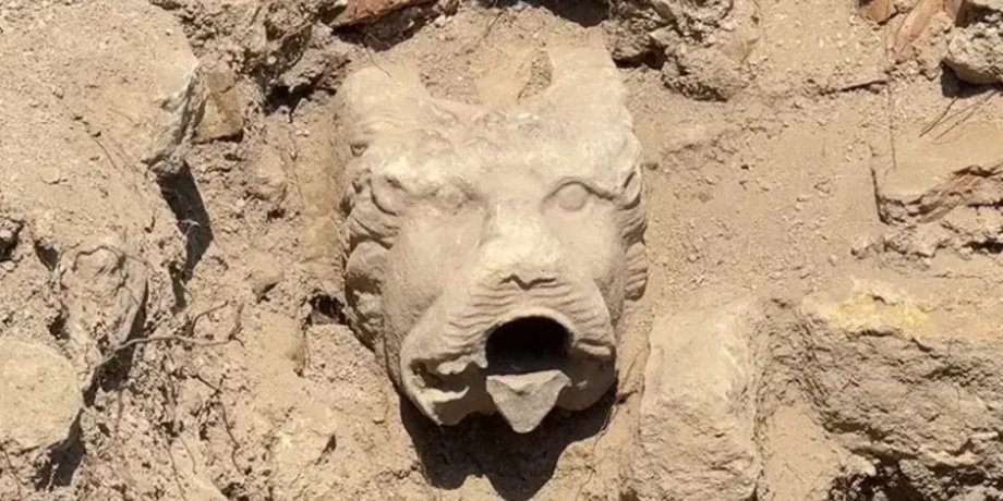 В древней винодельне нашли короля зверей