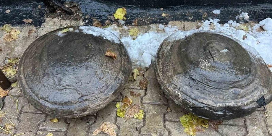 Знахідки можуть бути скам'янілостями