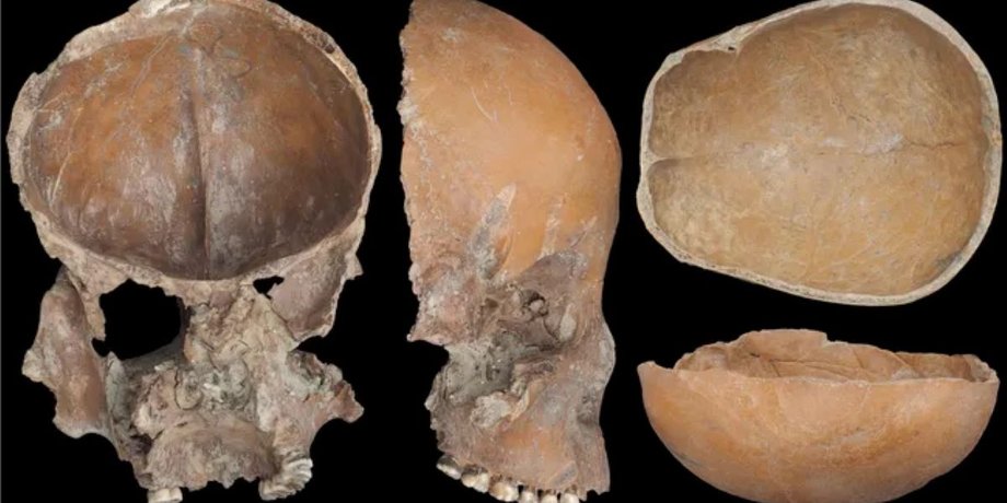 ученые рассказали о черепах и других жутких находках на востоке Китая