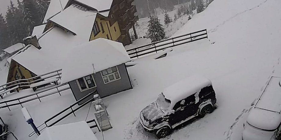 Фото: скриншот из видео SNIGINFO
