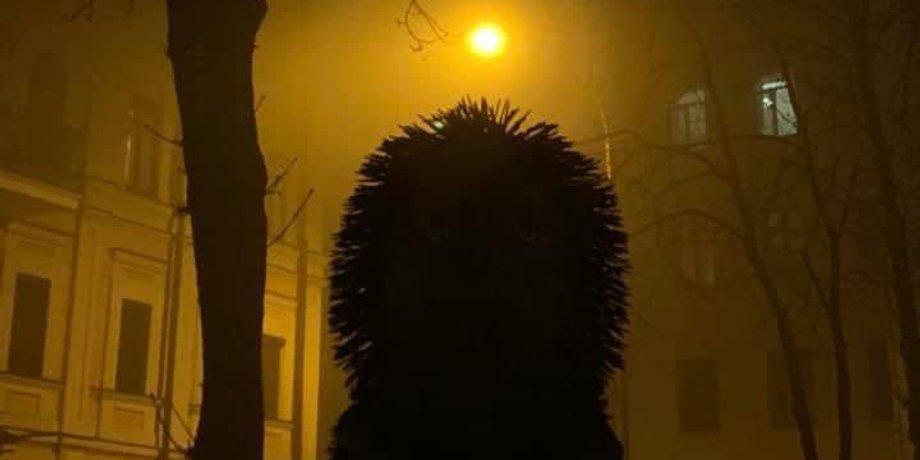 "Ежик в тумане"