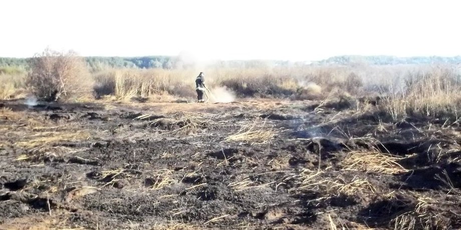 Тушение горящего торфа / Фото: ГСЧС