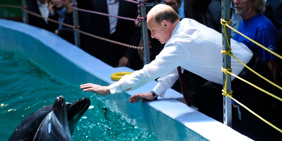 путин и дельфин, путин в дельфинарии,