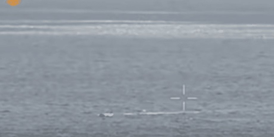Морський дрон РФ намагався атакувати порт Одеси