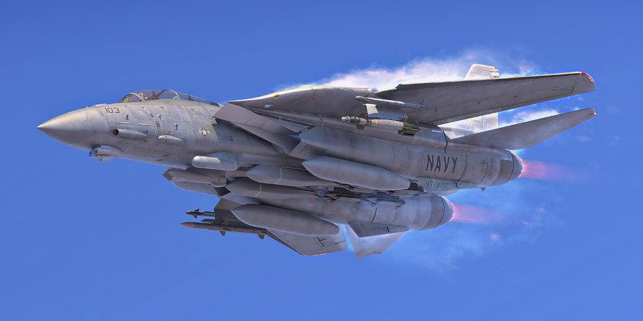истребитель F-14D