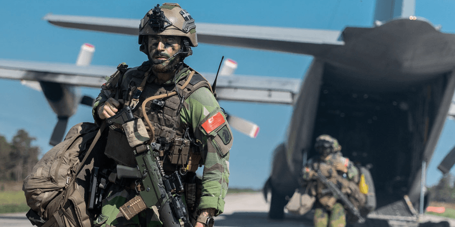Шведская армия