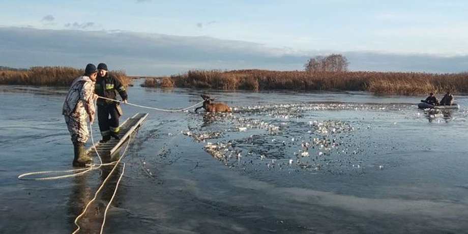 Фото: ГСЧС