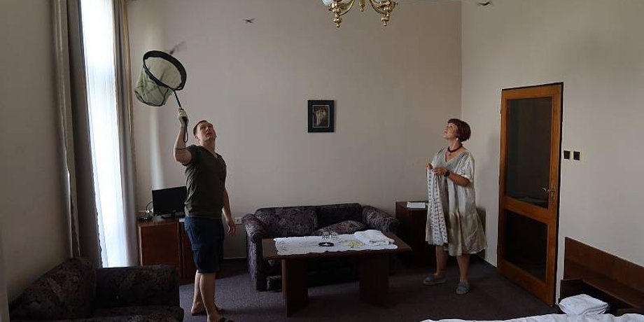 кажани, готель, порятунок тварин