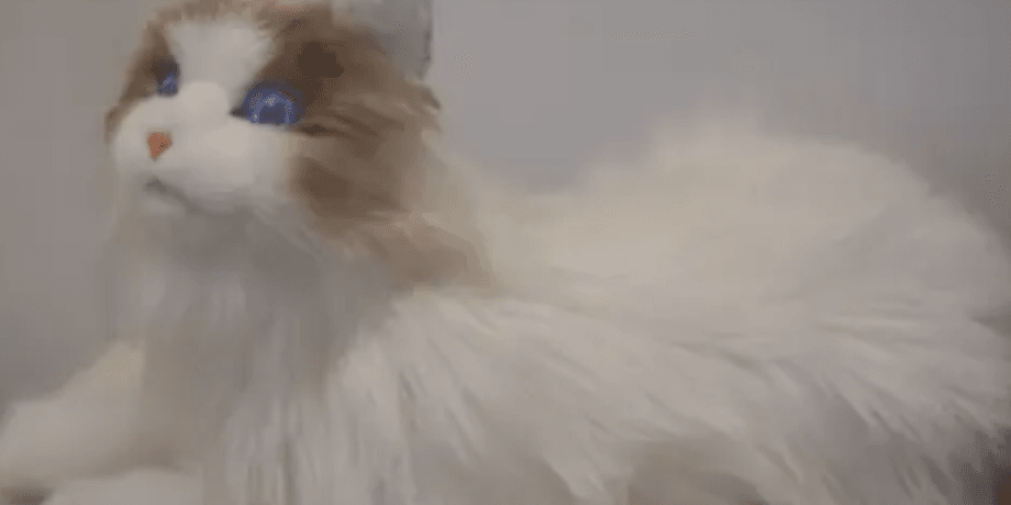 Роботизований кіт Marscat