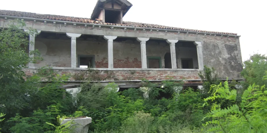 Венеція, чума, збудник, патоген, хвороба, острів, карантин, колонія, рештки, аналіз, дослідження, історія, смерть, хворі, хвороба, еволюція