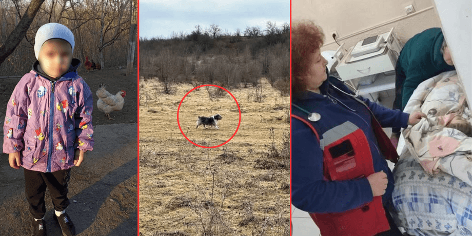 Історія порятунку, порятунок, зникла дитина, Вінницька область, Національна поліція, поліція, знайшли дитину, врятував пес, дитину врятував пес