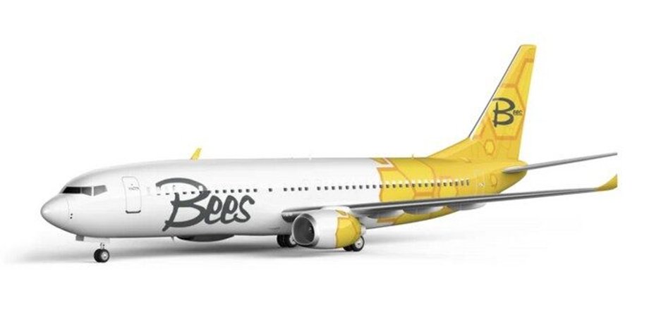 Авіакомпанія, лоукост, польоти, Єгипет, чартери, Bees Airline