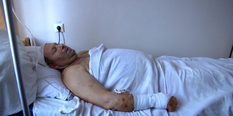 медведь разорвал медведя, медведь напал
