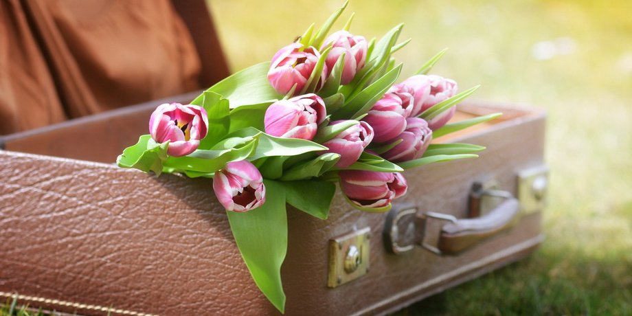Фото: Pixabay