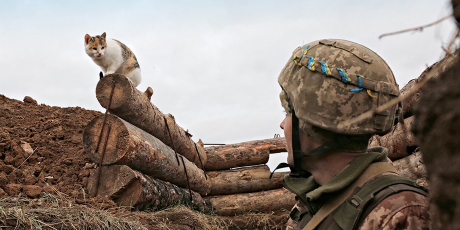 Фото: Getty Images, УНИАН