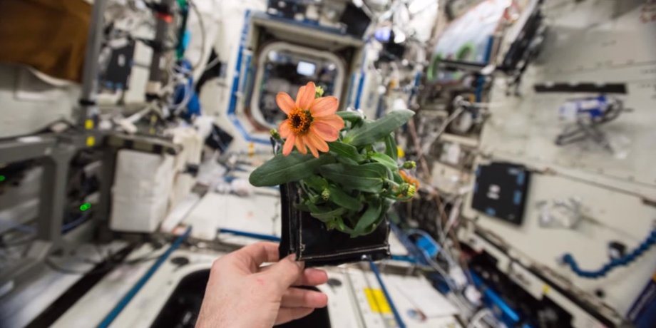 Кадр из видео пользователя NASA Johnson на YouTube