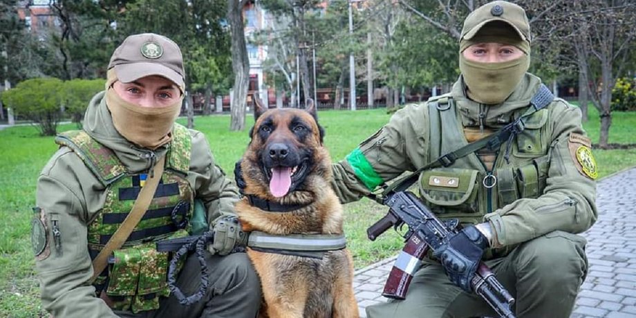 Овчарка, Нацгвардия