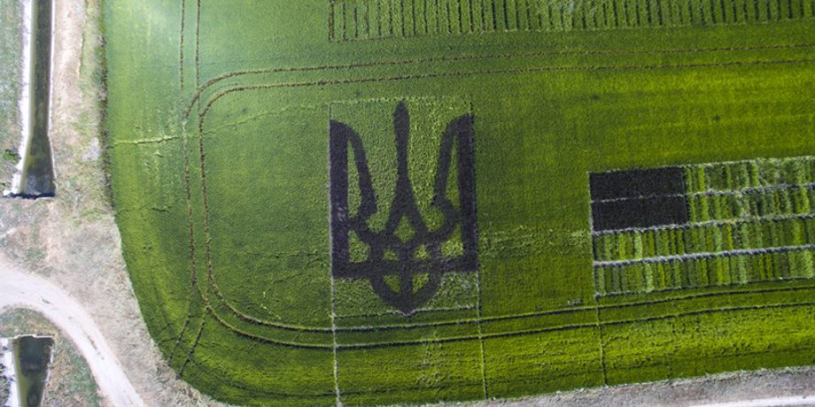 Херсонский тризуб / Фото: khoda.gov.ua