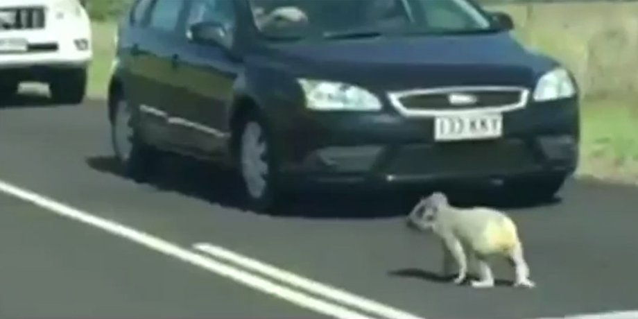 Скриншот видео