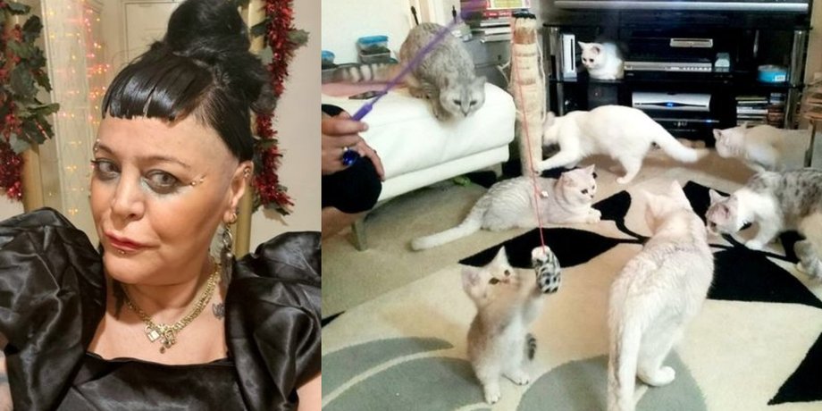 Жінка, кішки, домашні тварини, вихованці
