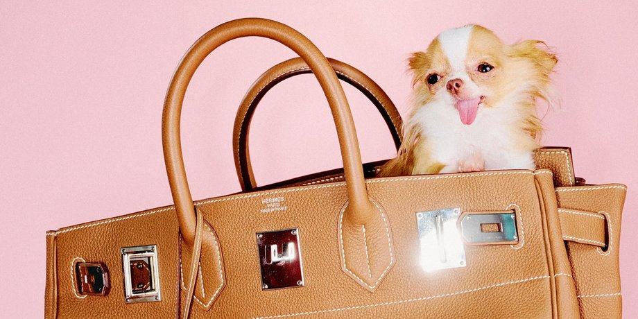Пилаф, Dogue, фотосессия