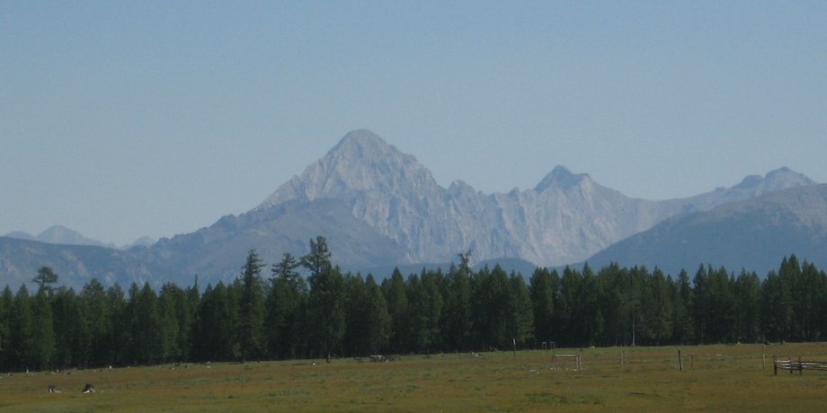 вічна мерзлота, монголи, Монгольська імперія, еліта, гори, молоко, історія, споживання молока, молока яка, археологічні пам’ятки, танення вічної мерзлоти, користь молока