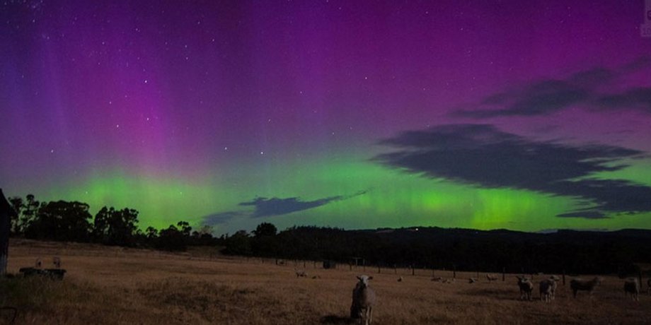 Фото: Megan Rodger/bbc.com