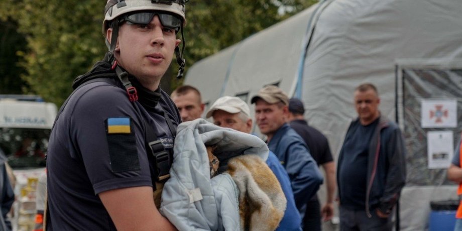 Рятування тварин після обстрілів у Києві та Київській області