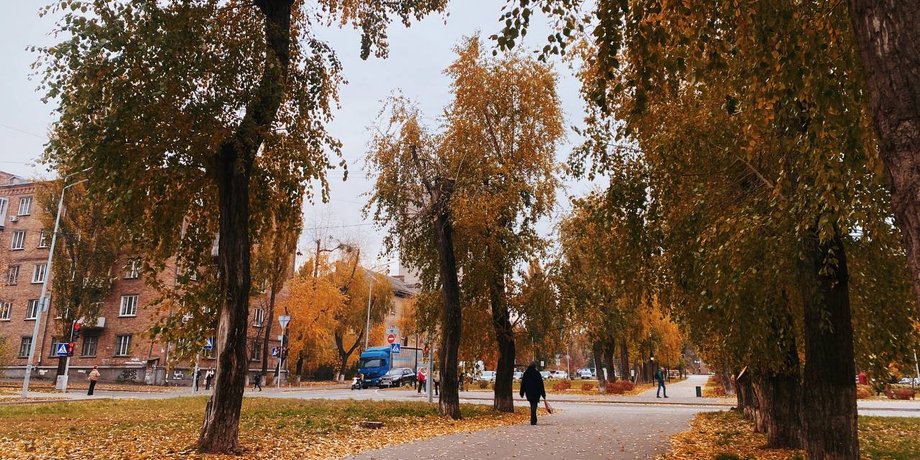 Улицы Киева