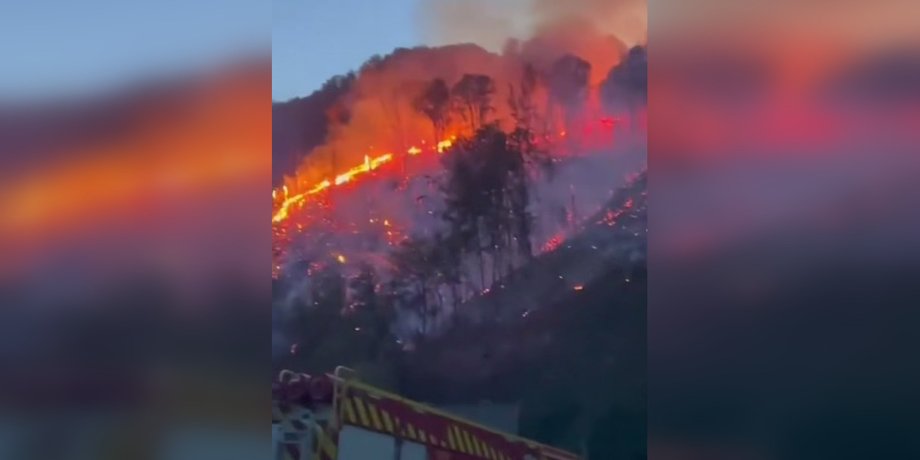 недалеко от Мукачево бушует пожар