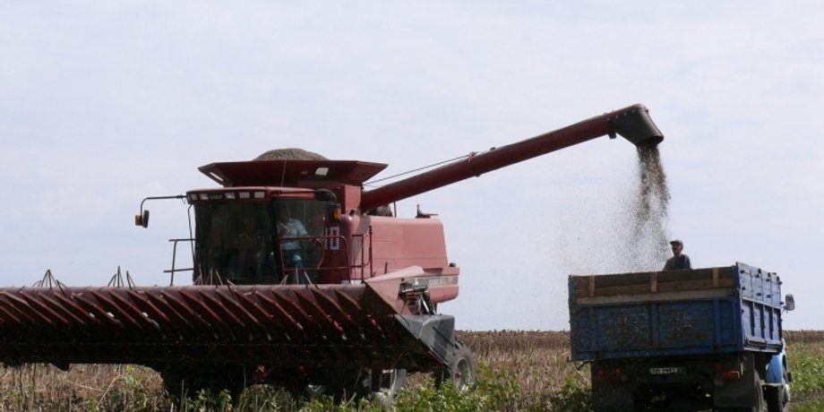 Ліцензування, агропродукція, експорт