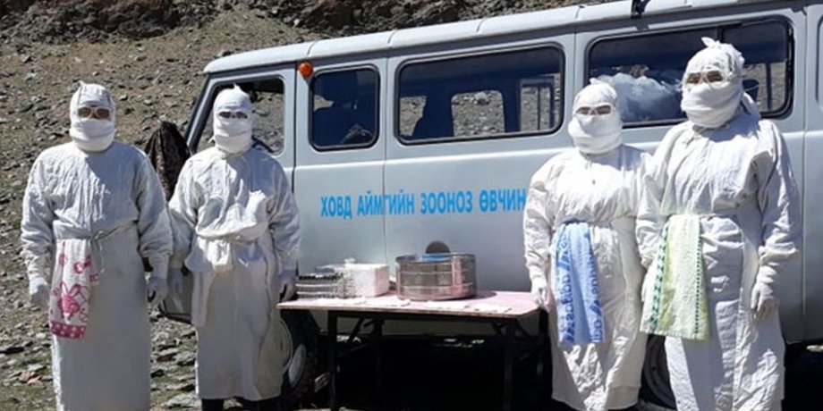Фото: National Center for Zoonotic Diseases