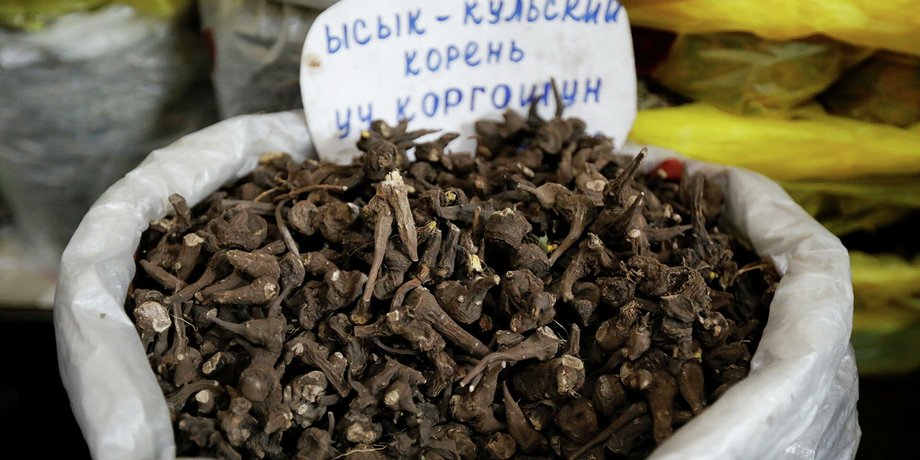 Кыргызстан, коронавирус, лечение,  иссык-кульский корень,