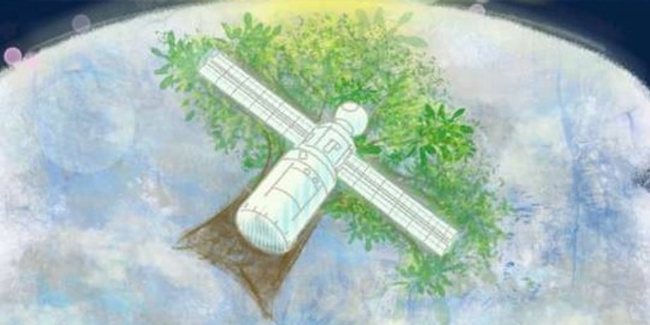 деревянный спутник, LignoSat, Япония
