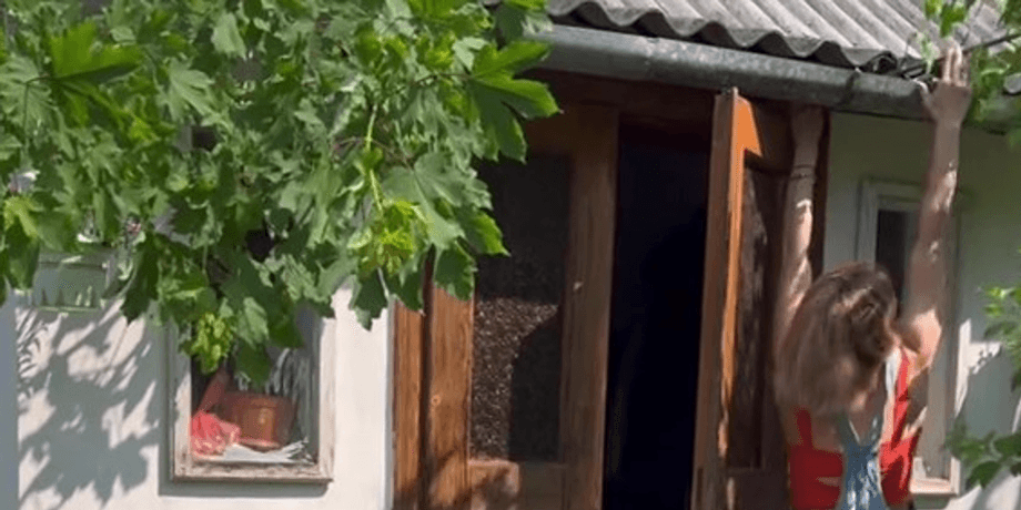 Будинок в селі