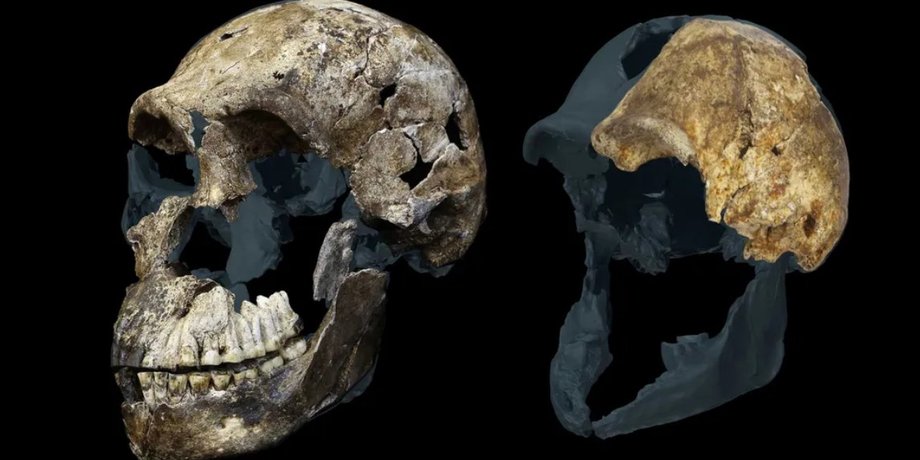 Homo naledi Скелети людей, які жили 300 000 років тому, належать виключно жінкам