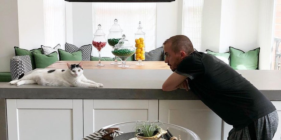 Муниз с кошкой Джери/Фото: Instagram frankiemuniz4