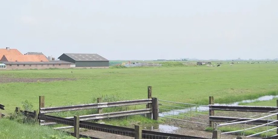 Фото: pravo.ua