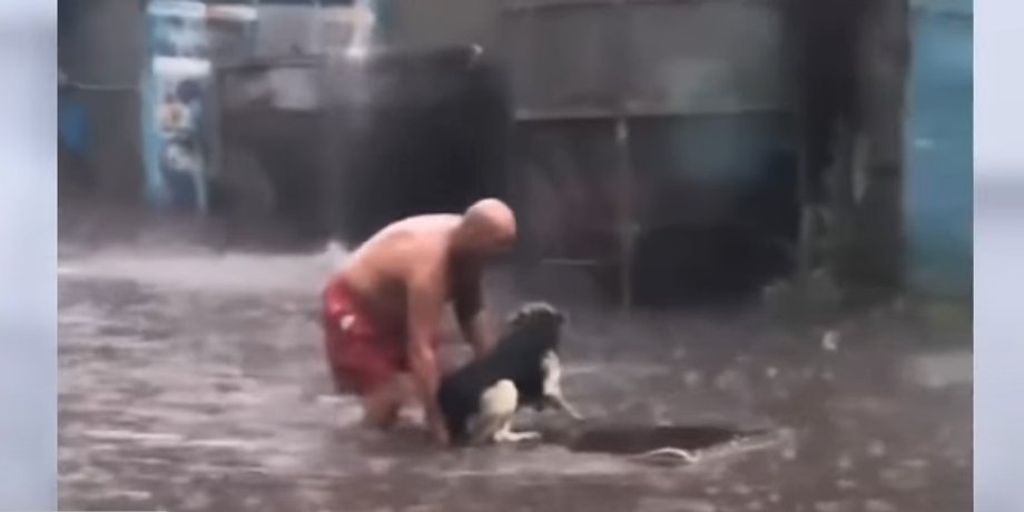 охранник, собака, спасение,