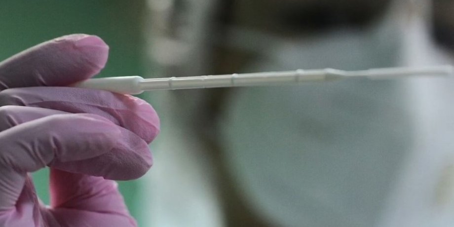 коронавирус, новый штамм, SARS-CoV-2