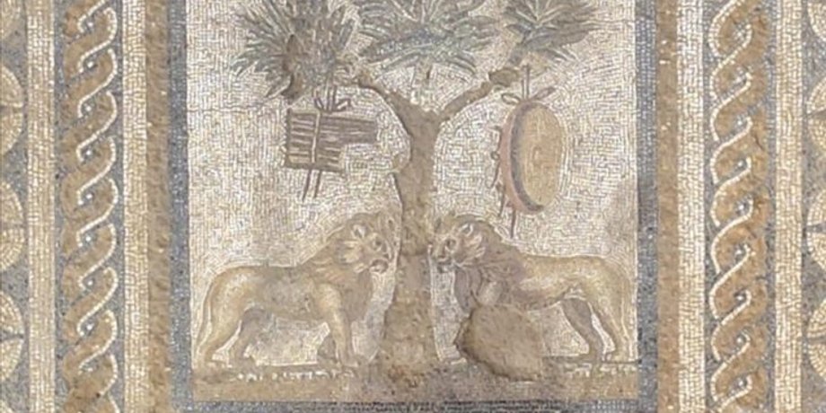 мозаика, Турция, история, цвет, львы, находка, археологи, археология, театр, культура, сооружение, город, Прусиас-ад-Гипиум, раскопки, декор, тессера