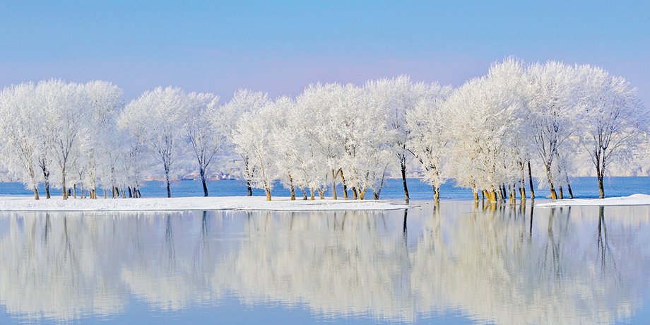 Фото: Getty Images
