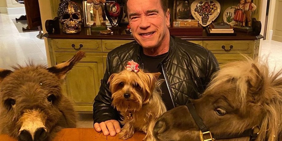 Фото: Instagram schwarzenegger
