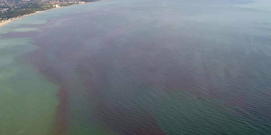 Чорне море, зміна кольру, токсини, мікроорганізми
