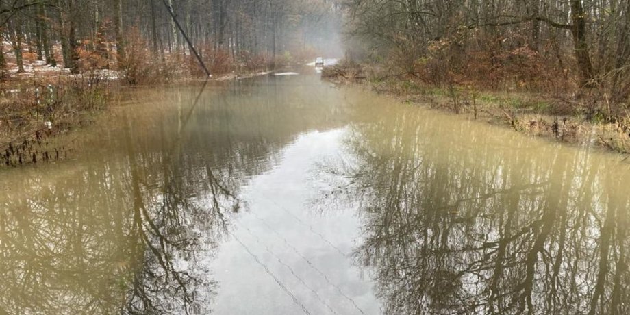 Річка, Закарпаття, потоп, повінь, паводок, Закарпатська область, фото