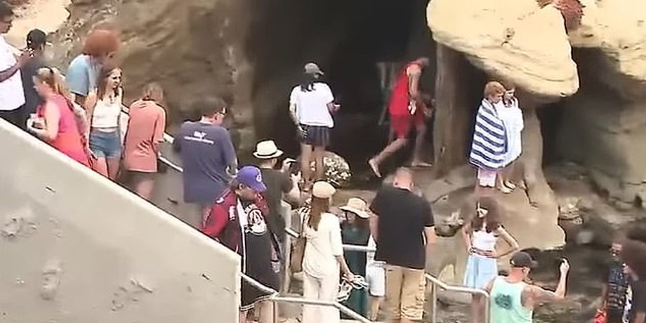 Напад морського лева