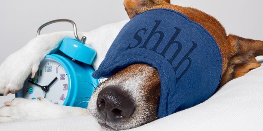 Odd Alarm