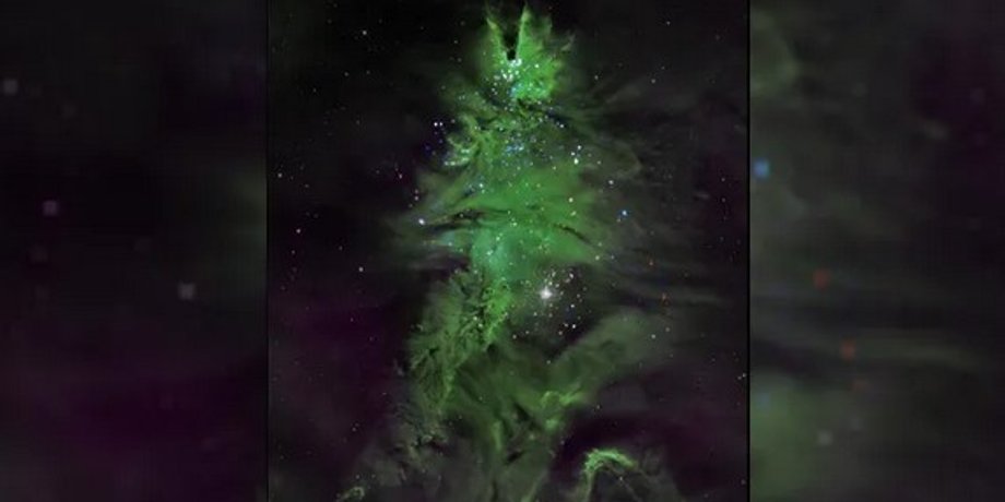NGC 2264