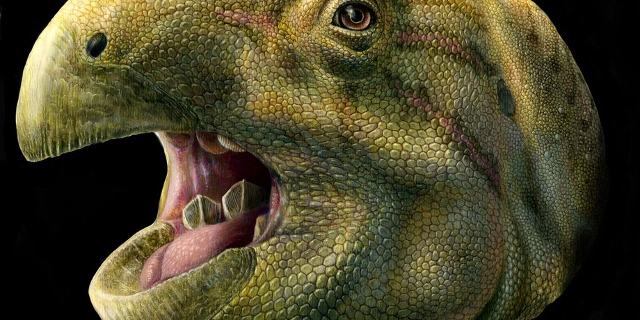 Художественная реконструкция головы Matheronodon provincialis  / Lukas Panzarin